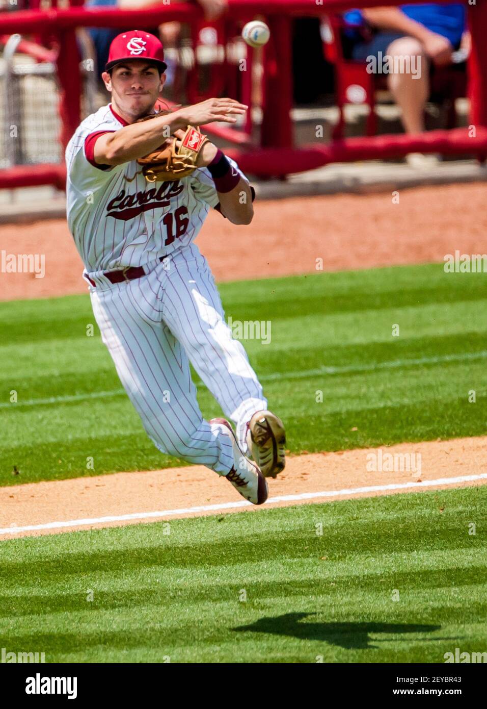 South Carolina Gamecocks third baseman Michael Braswell (7) on defense  against the Charlotte 49ers at Truist Field on March 21, 2023 in Charlotte,  North Carolina. (Brian Westerholt/Four Seam Images via AP Stock