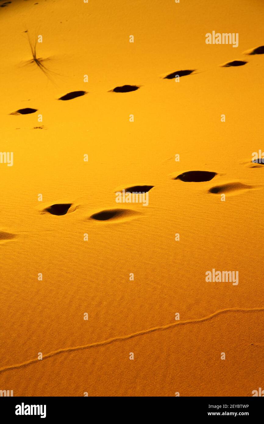 Foot Step Images Color:red Red footstep brown sand dune in the sahara Stock Photo - Alamy