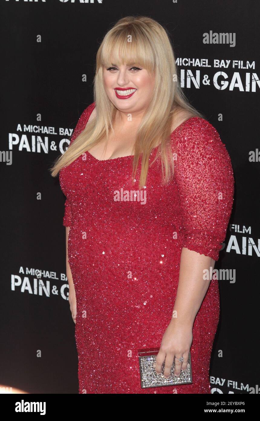 Rebel Wilson attends The Los Angeles Premiere of 'Pain & Gain' at the ...