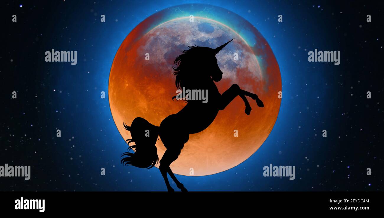 The silhouette of a unicorn on background of a fiery globe and starry ...