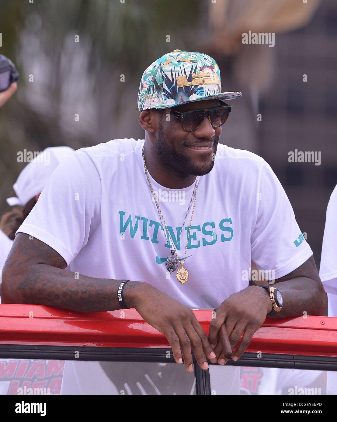 lebron james championship 2013