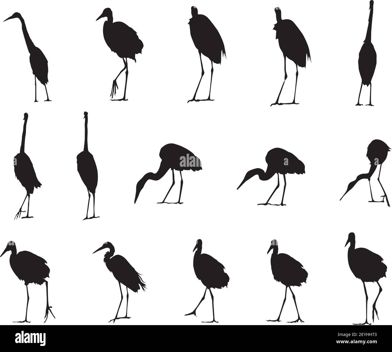 white Herons birds motion shadow set of silhouette Stock Vector