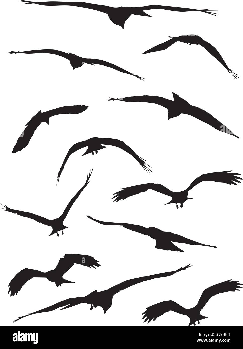 white Herons birds motion shadow set of silhouette Stock Vector