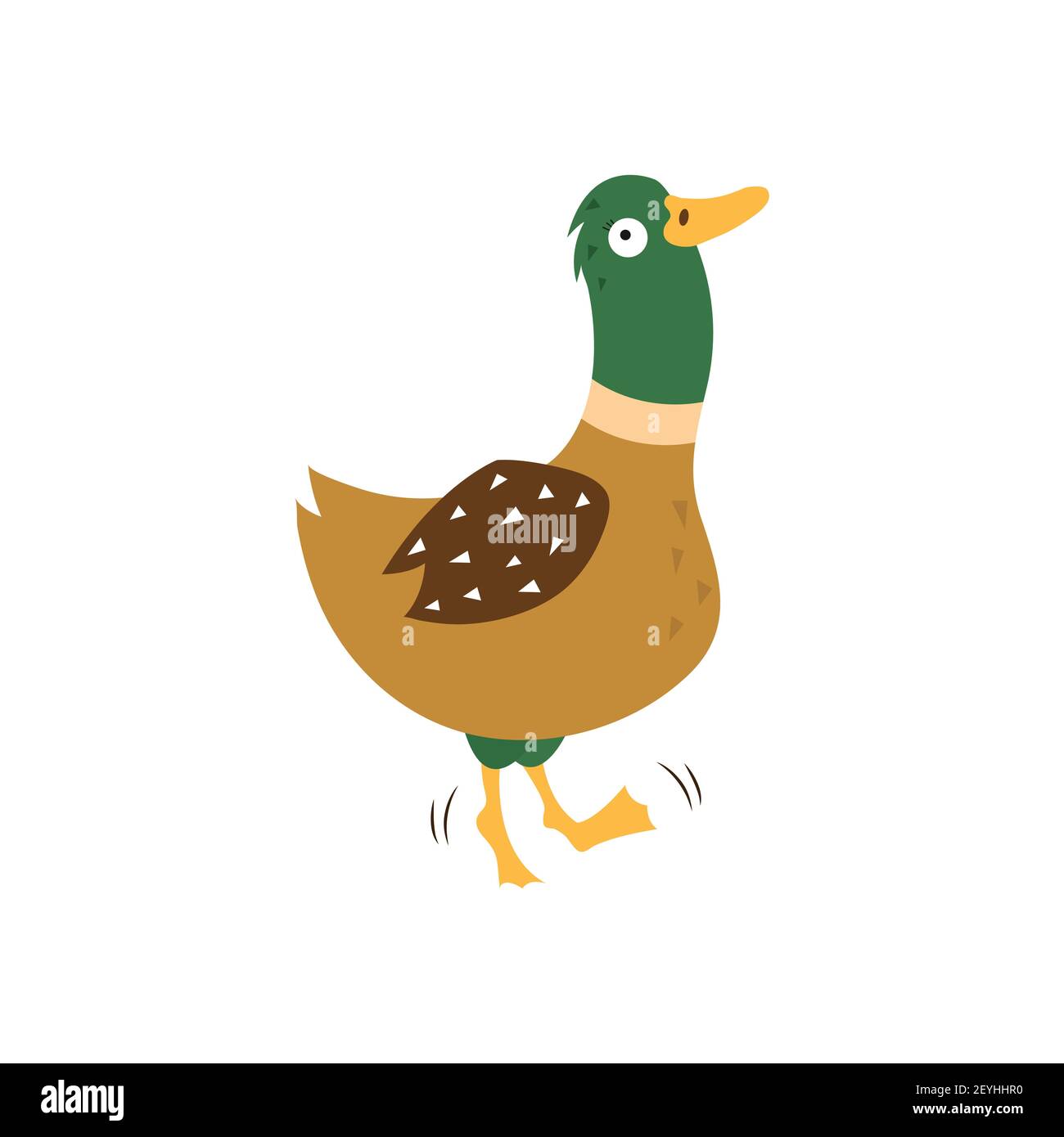 Cartoon duck, vector illustration on white isolated background. Stock Vector