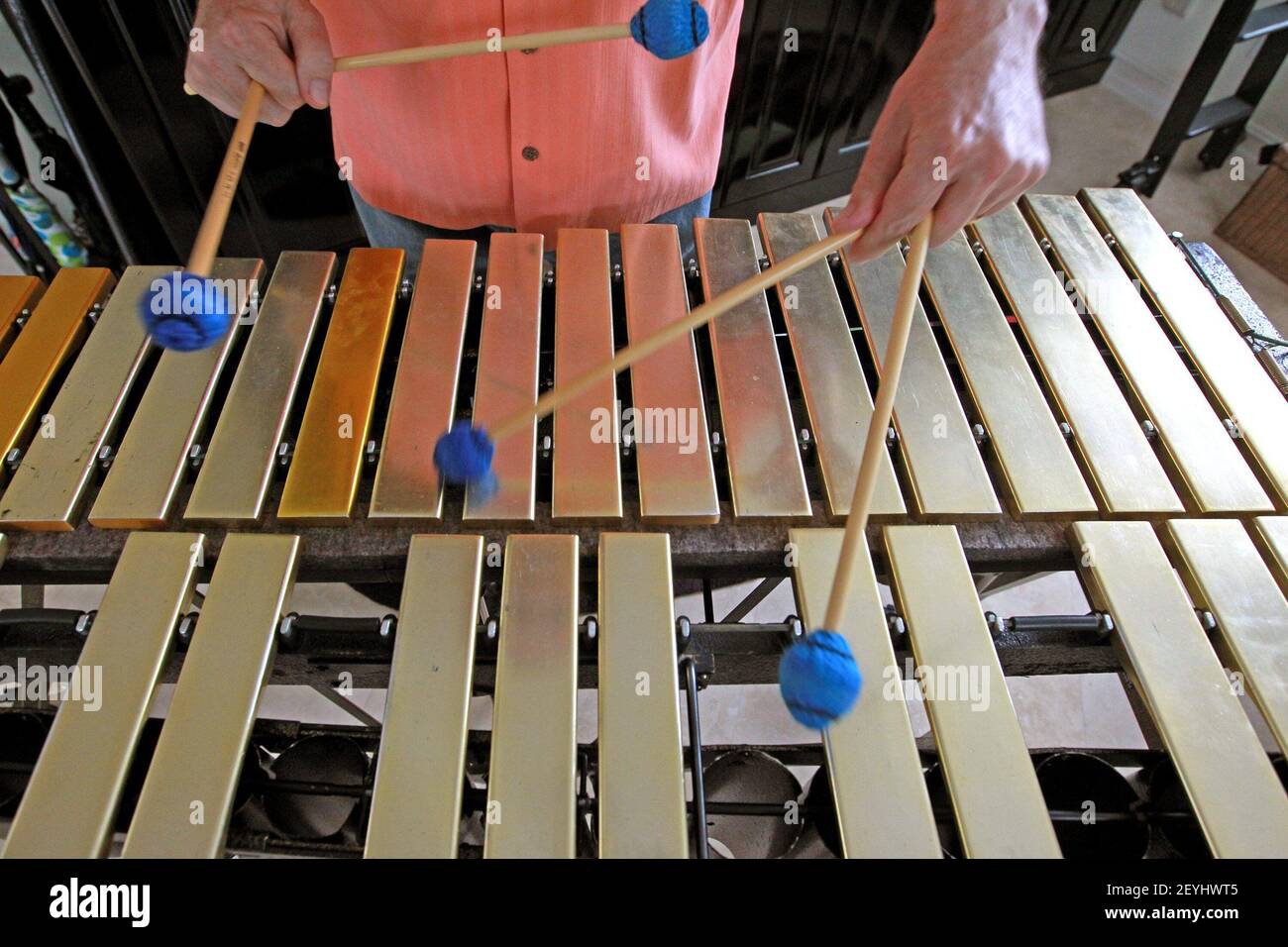 Grammy winning Fort Lauderdale vibraphonist Gary Burton plays the