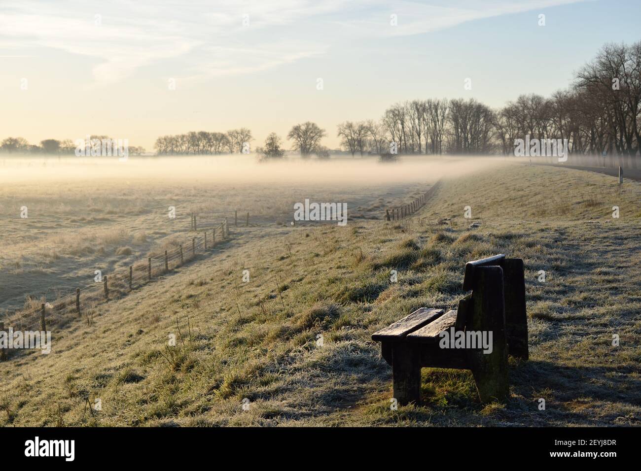 A cold and icy wooden bench overlooking a dawn ground frost close to Oss, Netherlands Stock Photo