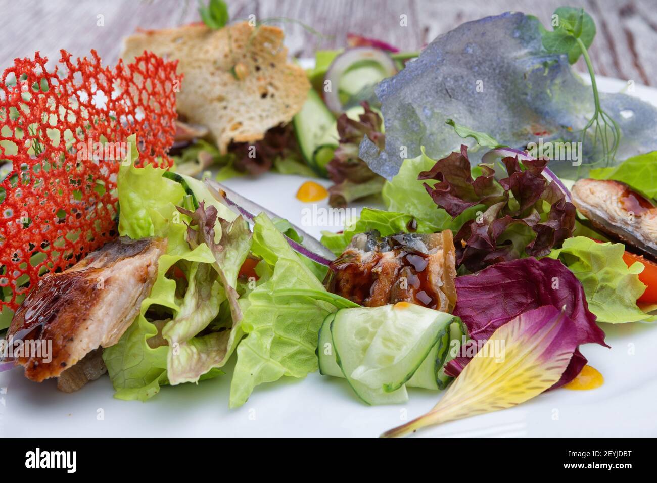 Vegetable salad with eel, on a plate Stock Photo