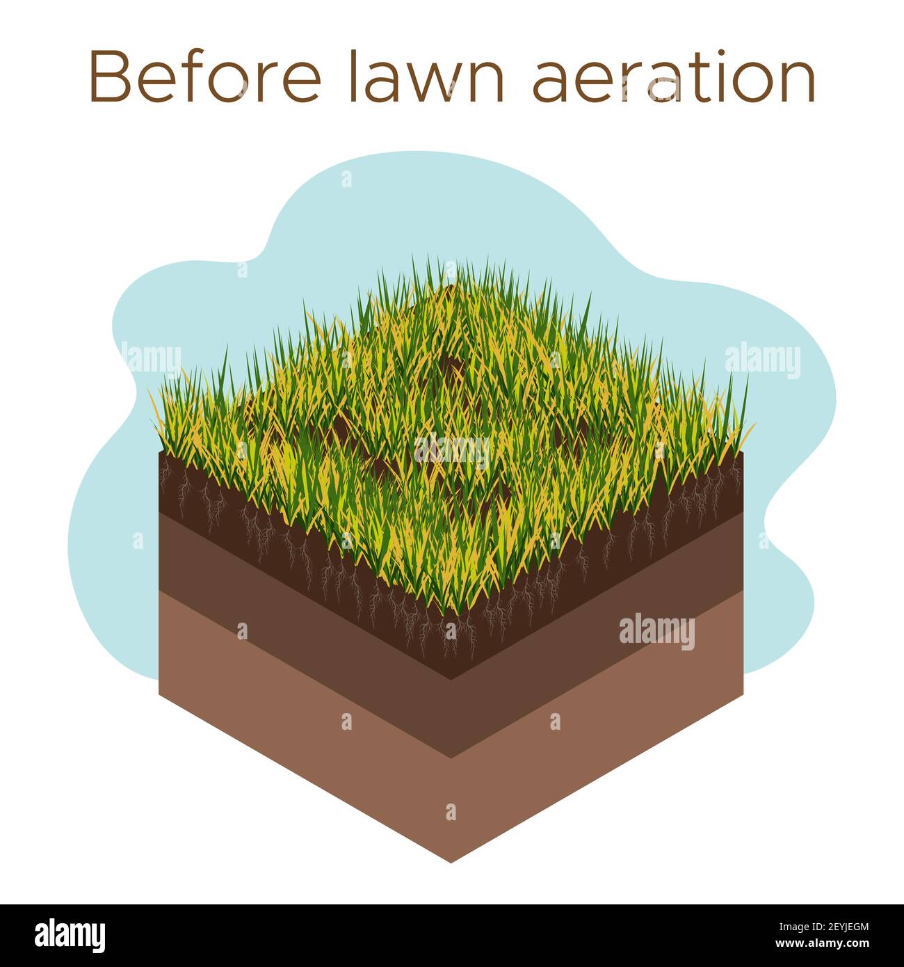 Lawn care - aeration and scarification. Labels by stage-before. Intake of substances-water, oxygen, and nutrients to feed the grass and soil. Vector i Stock Vector