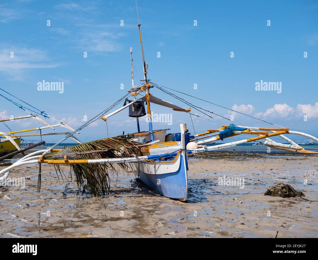 Philippine tuna hi-res stock photography and images - Alamy
