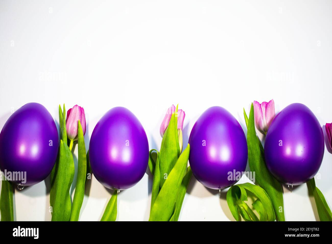 Easter eggs with tulips on a white background Stock Photo - Alamy