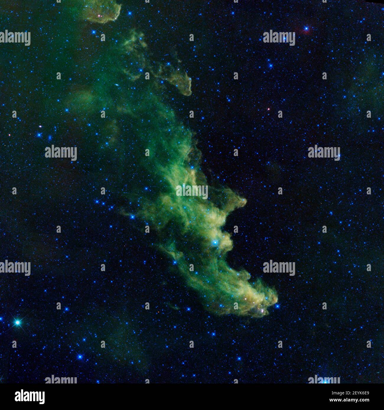 A witch appears to be screaming out into space in this new image from NASA's Wide-Field Infrared Survey Explorer, or WISE. The infrared portrait shows the Witch Head nebula, named after its resemblance to the profile of a wicked witch. Astronomers say the billowy clouds of the nebula, where baby stars are brewing, are being lit up by massive stars. Dust in the cloud is being hit with starlight, causing it to glow with infrared light, which was picked up by WISE's detectors. The Witch Head nebula is estimated to be hundreds of light-years away in the Orion constellation, just off the famous hun Stock Photo