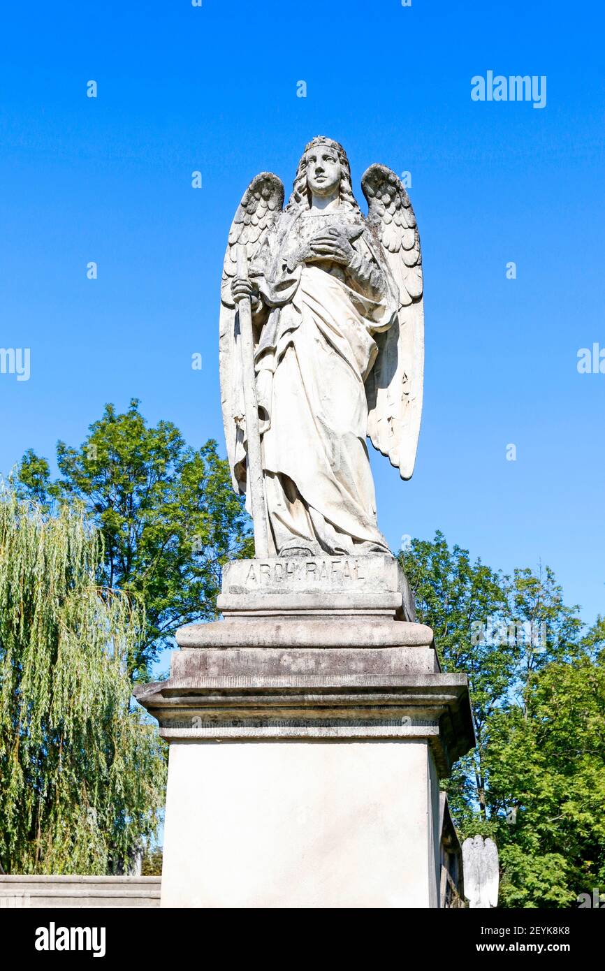 Cedrón hi-res stock photography and images - Alamy