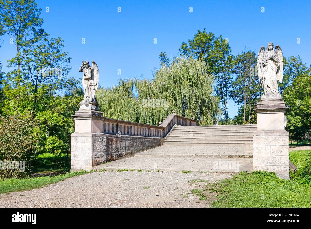Cedrón hi-res stock photography and images - Alamy