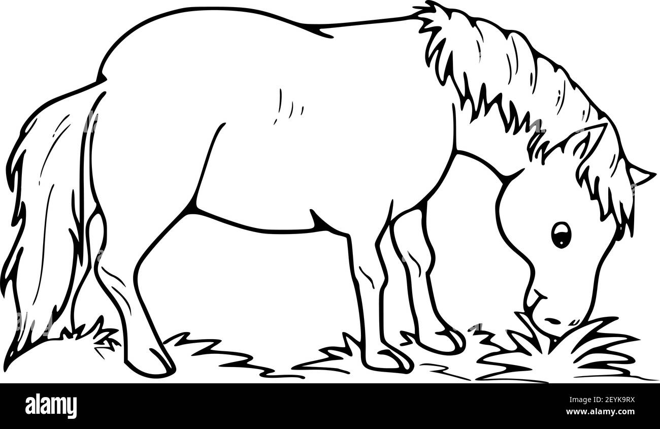 vector farm animals horse eat grass Stock Photo - Alamy