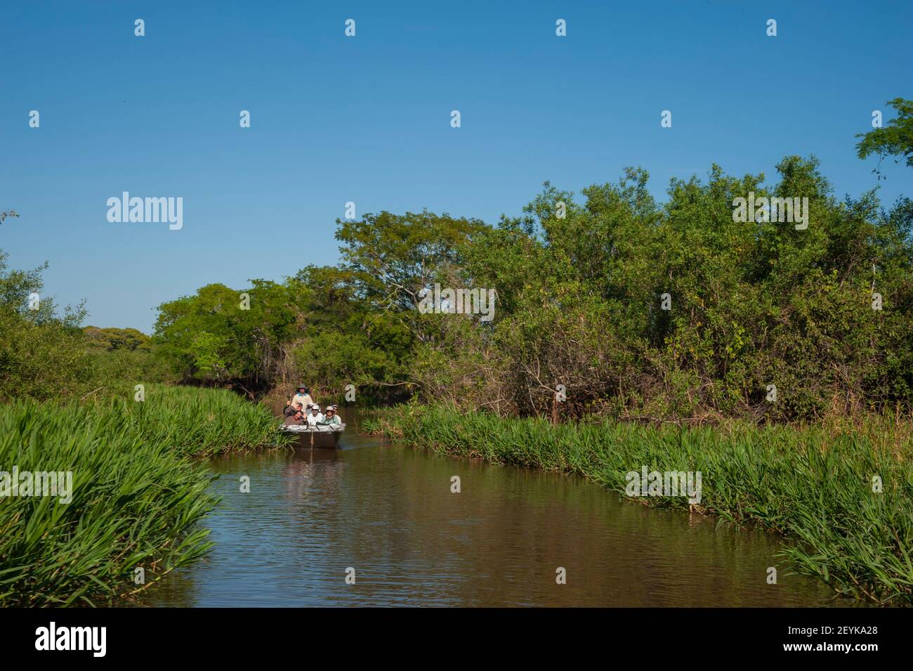 Pantanal boat tourist hi-res stock photography and images - Alamy