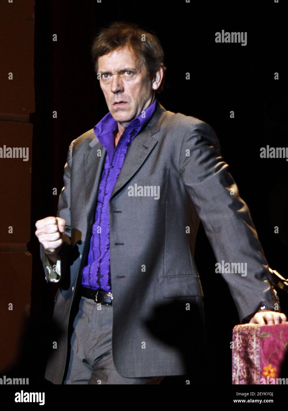 Actor, pianist, singer and songwriter Hugh Laurie performed in concert at  the Buckhead Theater on November 3, 2013 in Atlanta. Known to millions as  "Dr. Gregory House" on the hit television show "