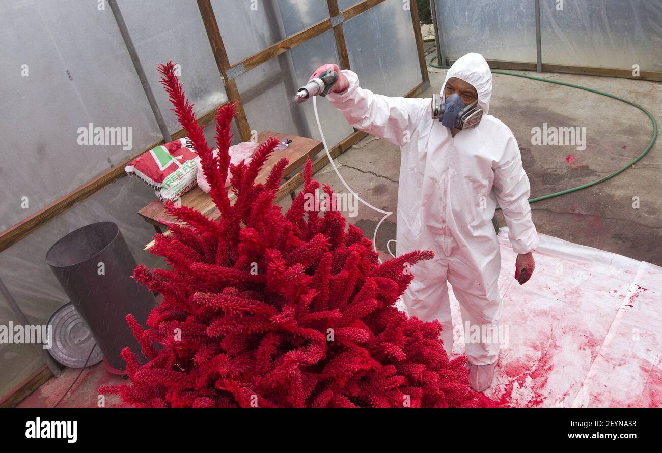 Charles Banks flocks a Christmas tree in red at Charlie's Produce and