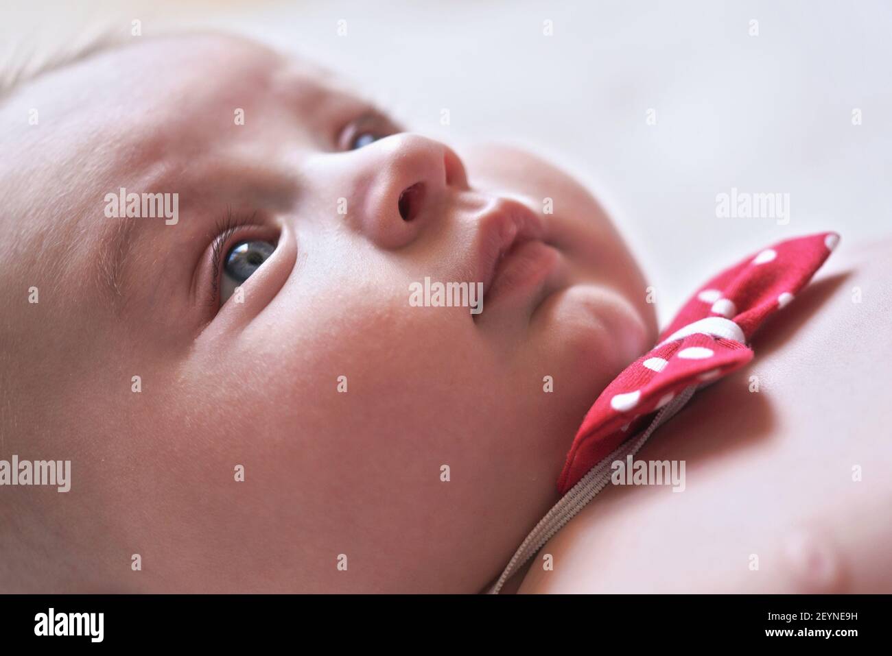 Infant baby boy, red bow tie with blue dots, closeup detail on face