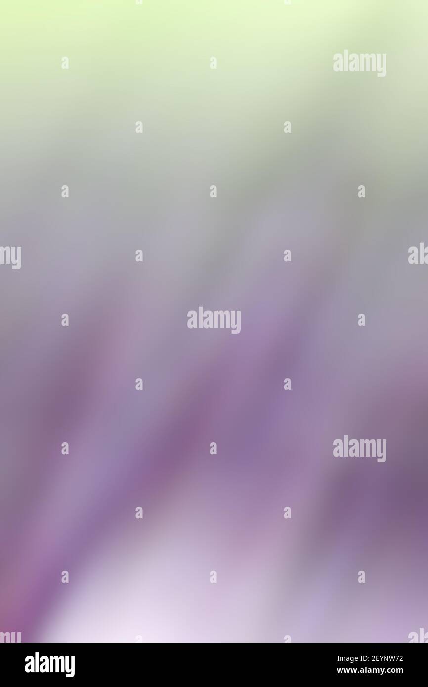 The abstract background Stock Photo - Alamy