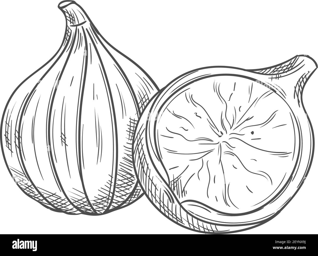 Figs Clipart Black And White