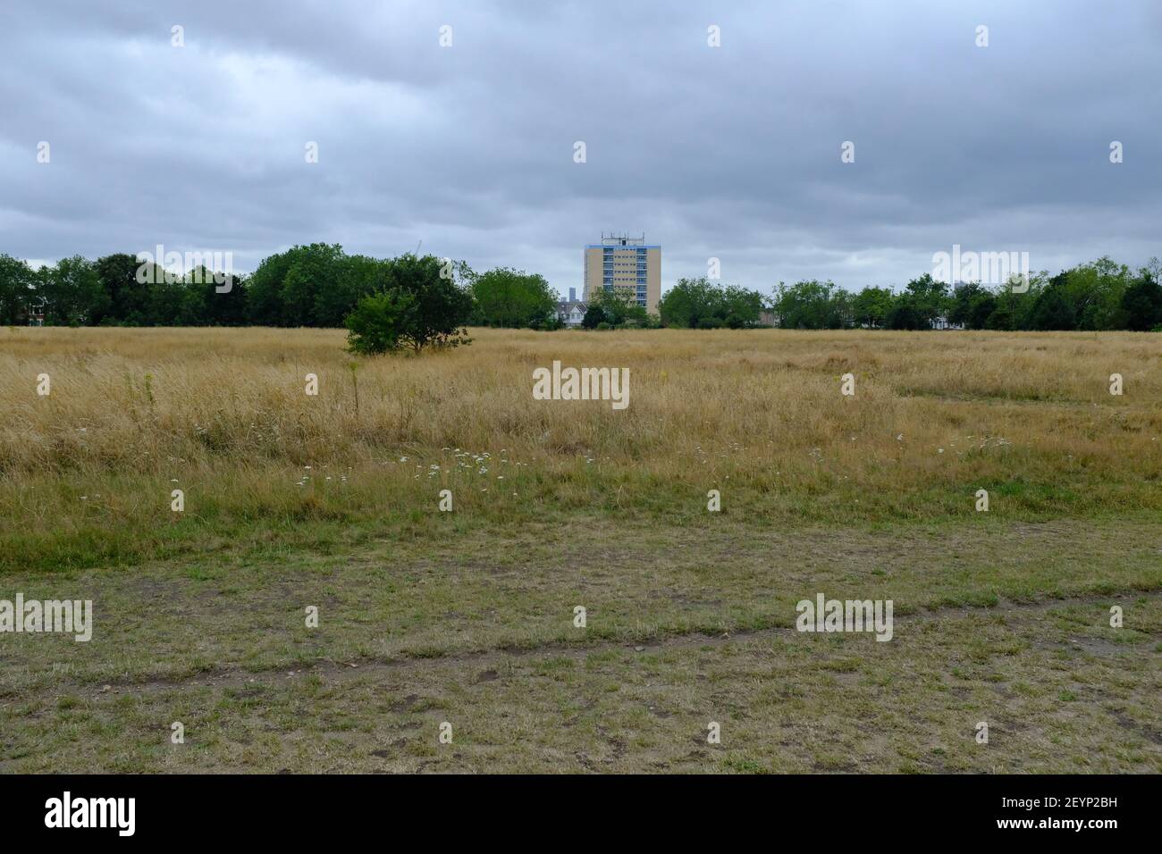LONDON 27TH JULY 2020 Wanstead Flats and the Capel Point apartment