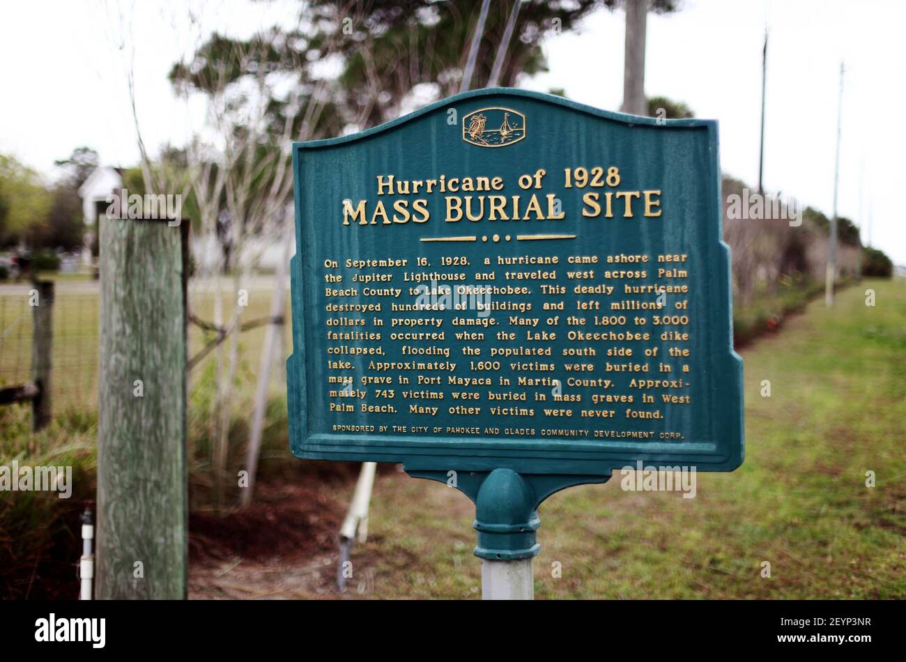 Archaeologist Shawn Patch, with New South Associates, (not pictured