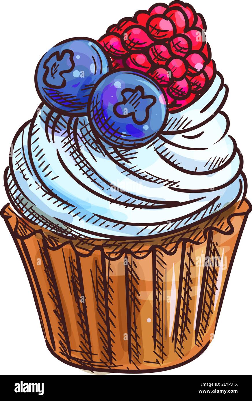 Details 152+ muffin sketch super hot in.eteachers