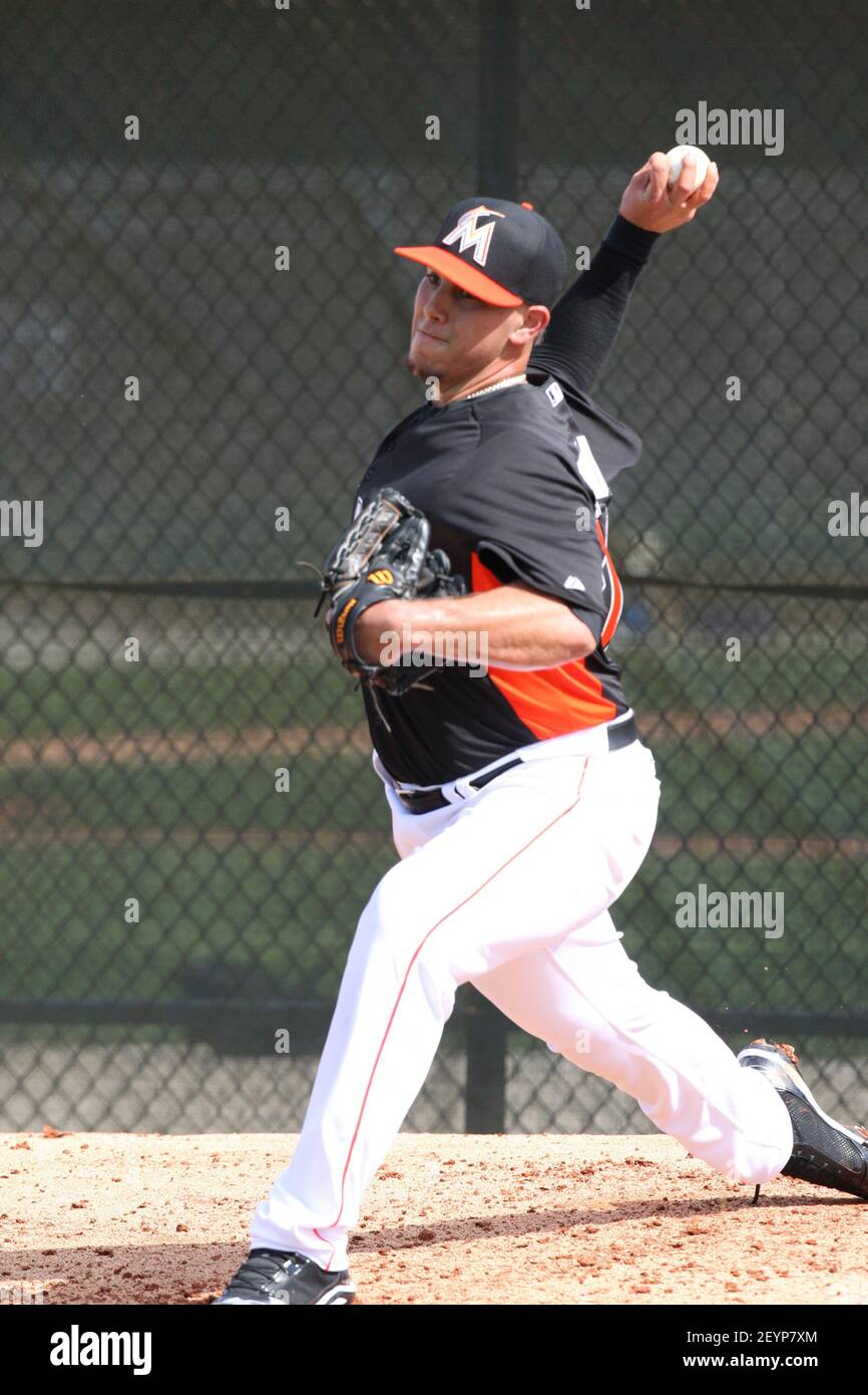 New Miami Marlins pitcher Jose Fernandez throws during the first day of
