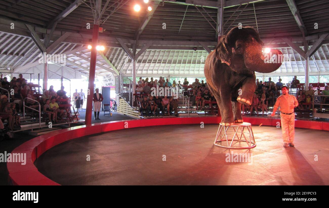 The big top show runs twice daily during summer at Circus World. (Photo ...