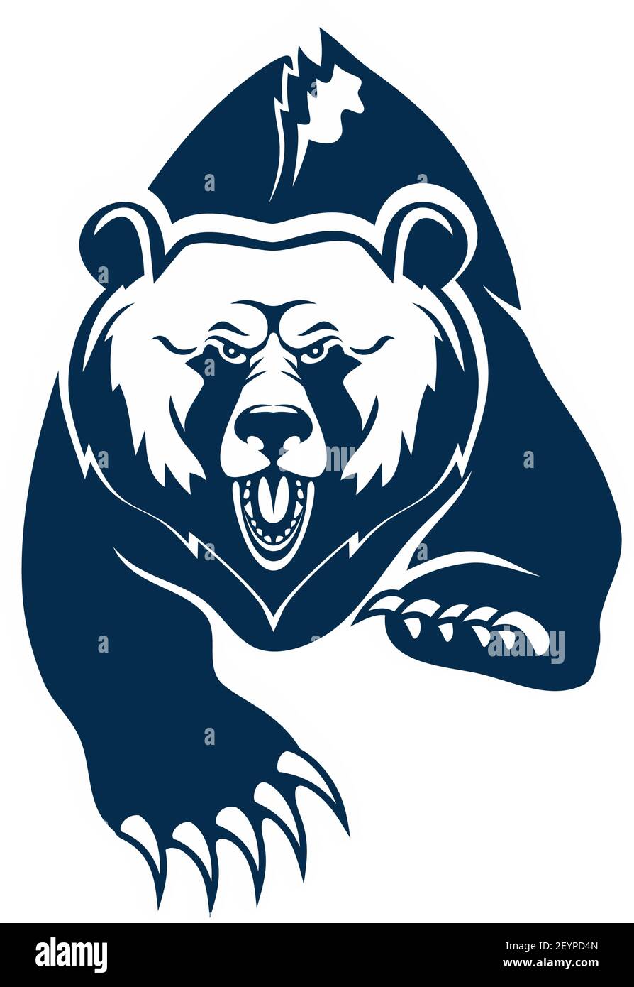 Wild american black bear isolated grizzly. Vector aggressive animal