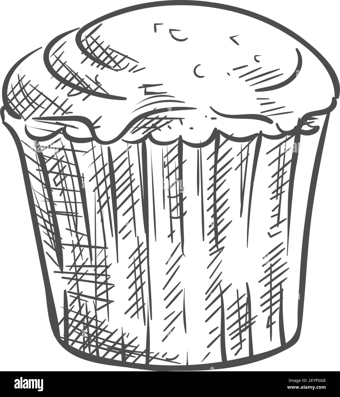 Muffin or cupcake, isolated pastry food sketch. Vector baked muffin
