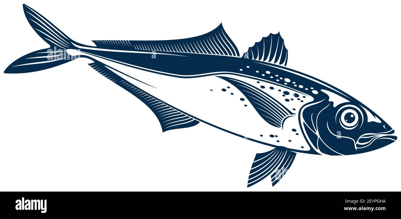Horse mackarel with flounders, mackerel fishing sport emblem isolated bluefish mascot. Vector