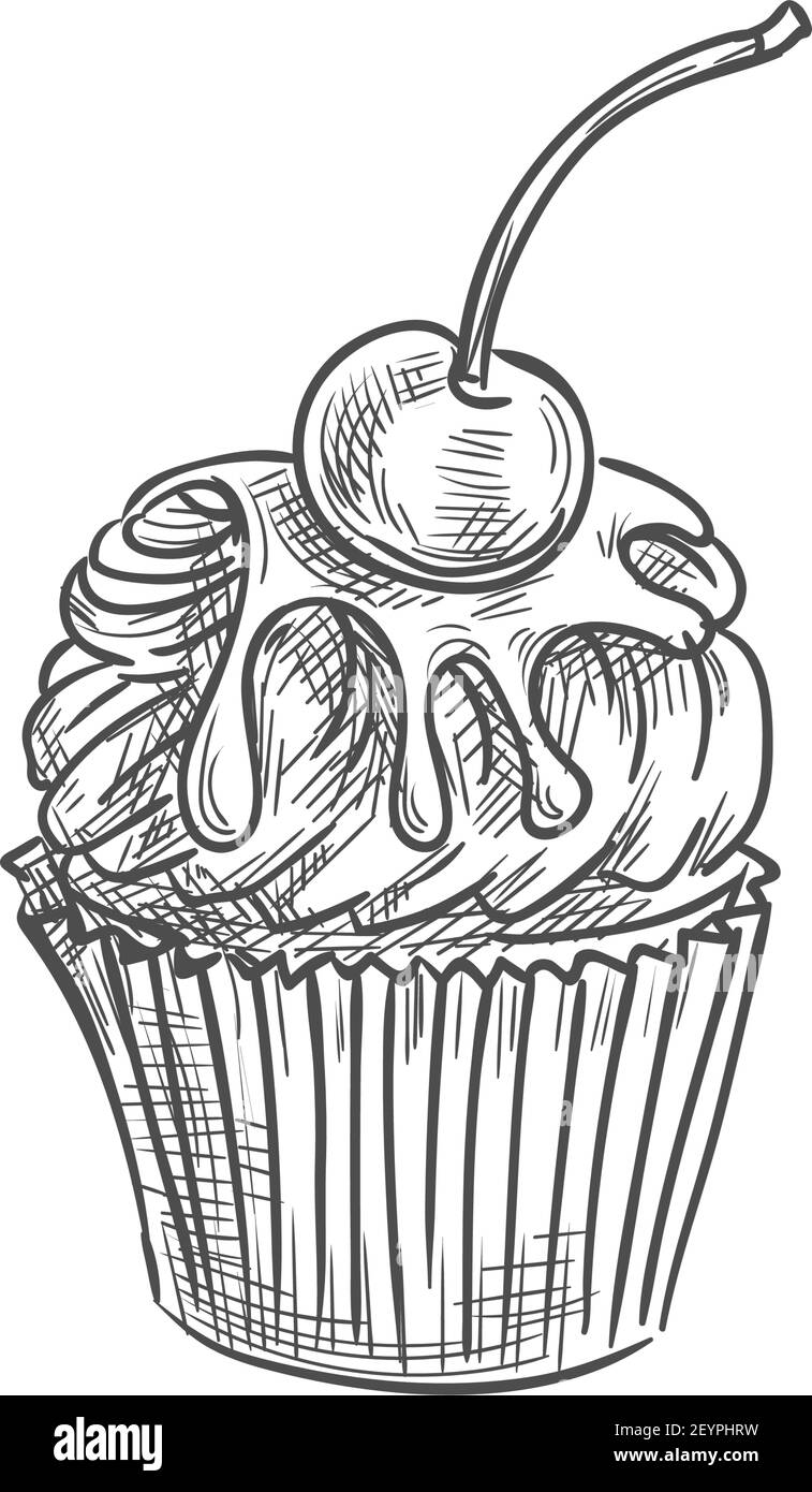 Cake topped by cherry fruit isolated muffin sketch. Vector fruity cupcake with chocolate Stock Vector
