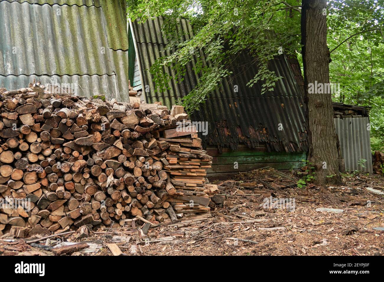 large pile of firewood near wooden house in avillage on outskirts of
