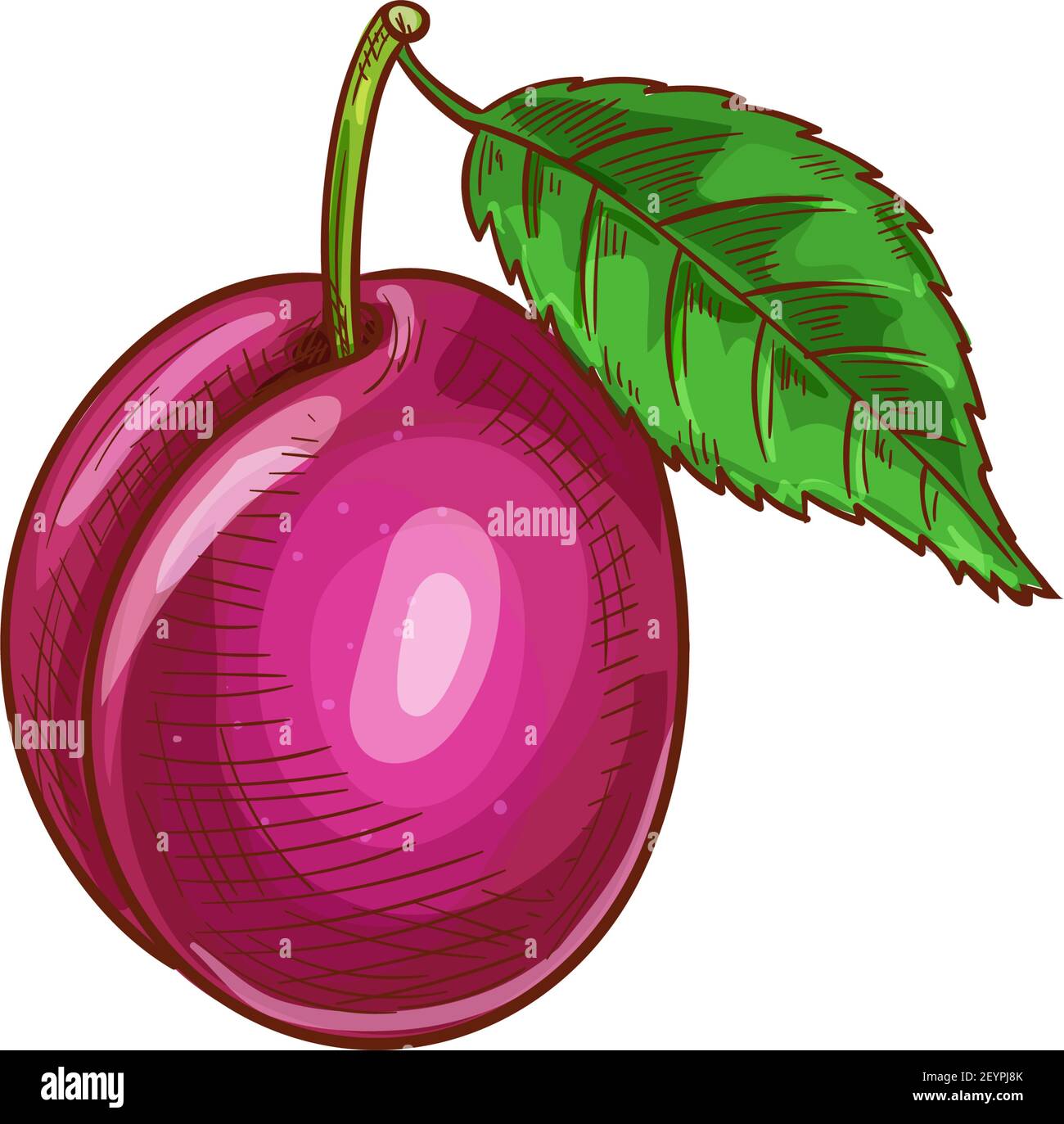 Ripe red plum isolated summer fruit dessert. Vector vegetarian food, damson with green leaf Stock Vector