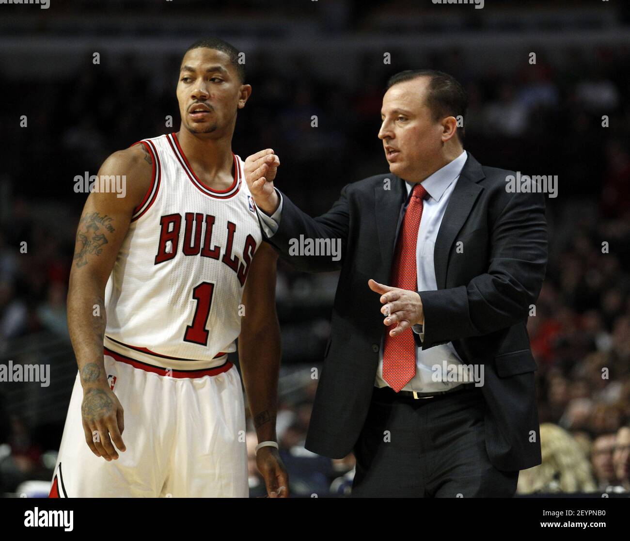 The Chicago Bulls Derrick Rose 1 talks with head coach Tom Thibodeau during a game against the Detroit Pistons at the United Center in Chicago on January 9 2012. Photo by Nuccio
