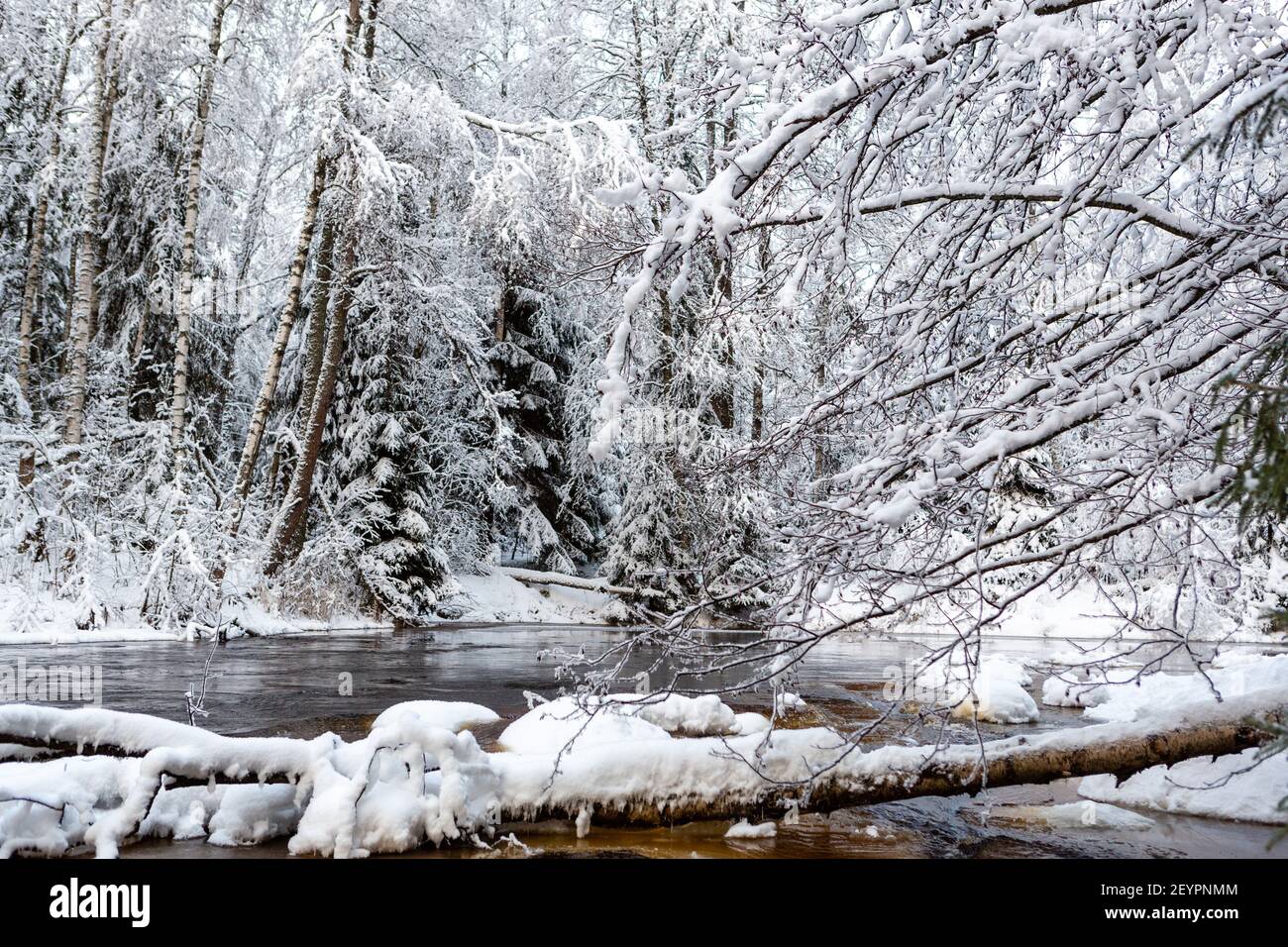 A frozen river through the forest in winter Stock Photo - Alamy