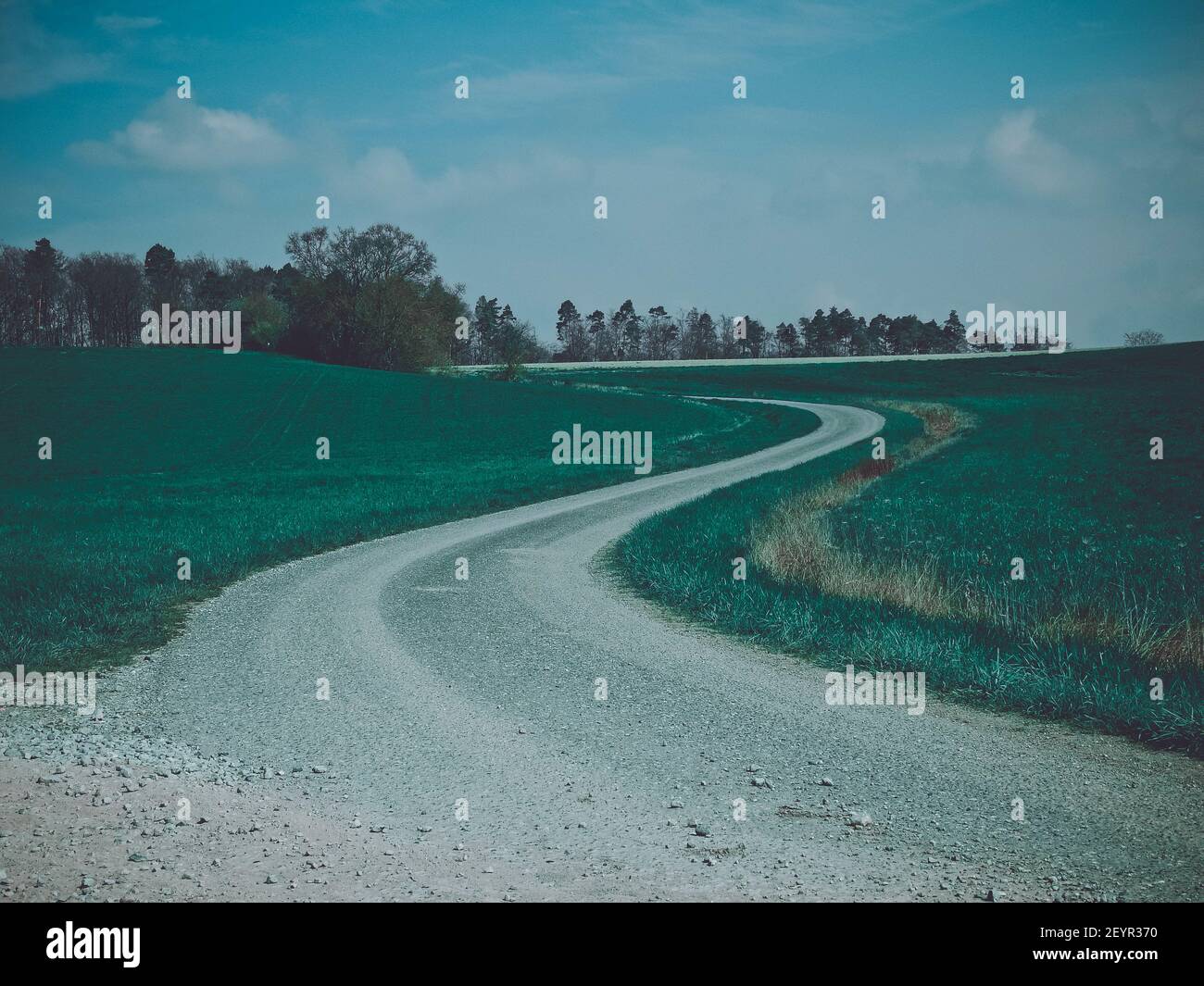 A beautiful view of a road surrounded by fresh green fields Stock Photo ...