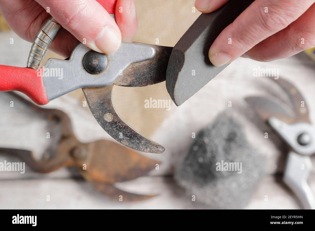 Secateurs sharpening stone hires stock photography and images Alamy