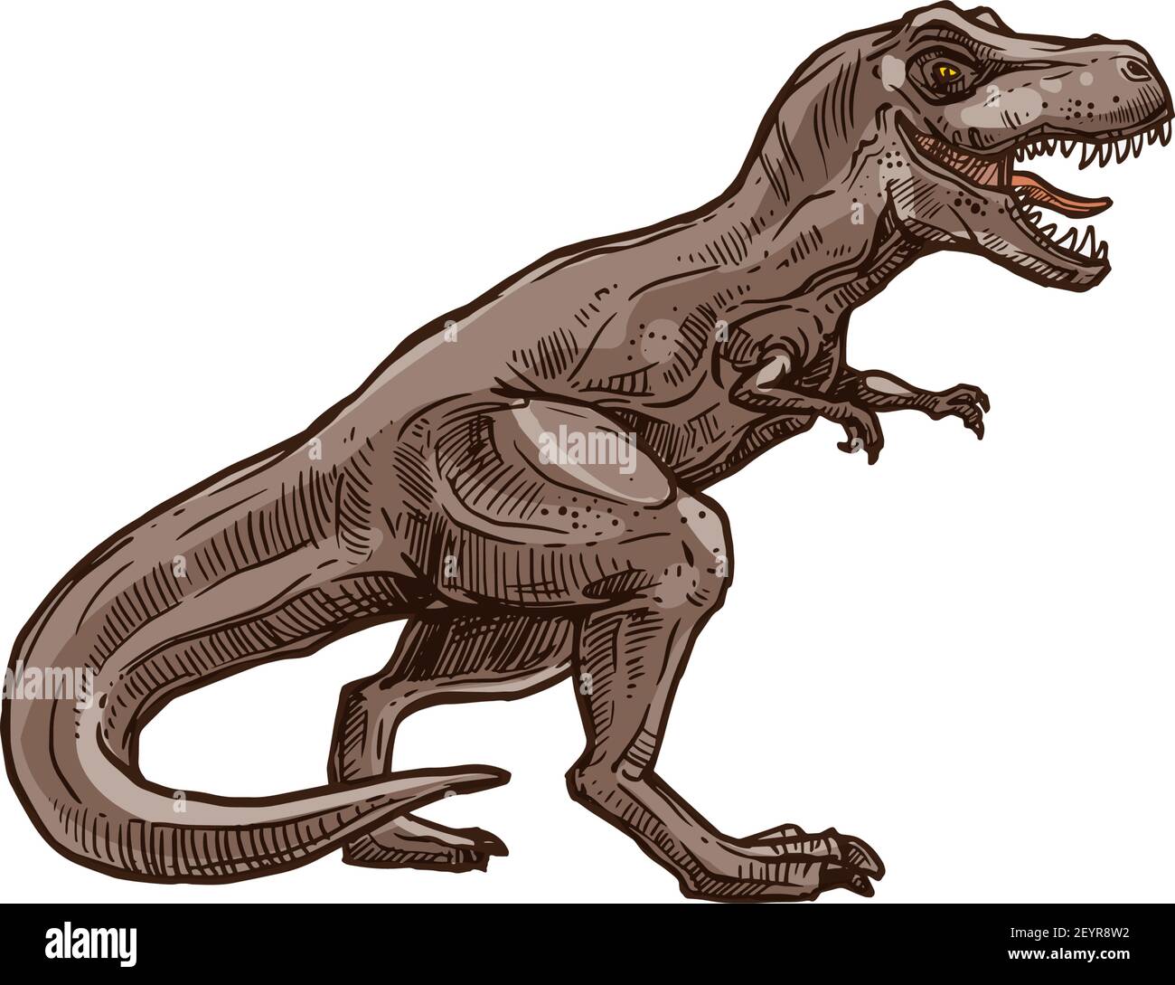 T-rex dinosaur isolated prehistoric animal sketch. Vector