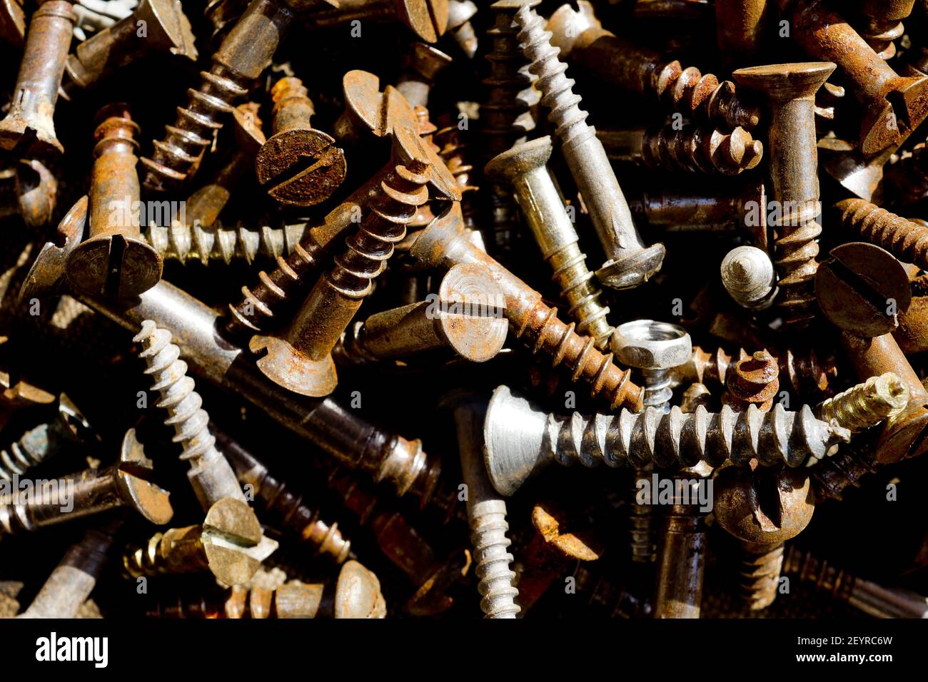 Lightly Rusted Screw Old rusted screw, France Stock Photo - Alamy