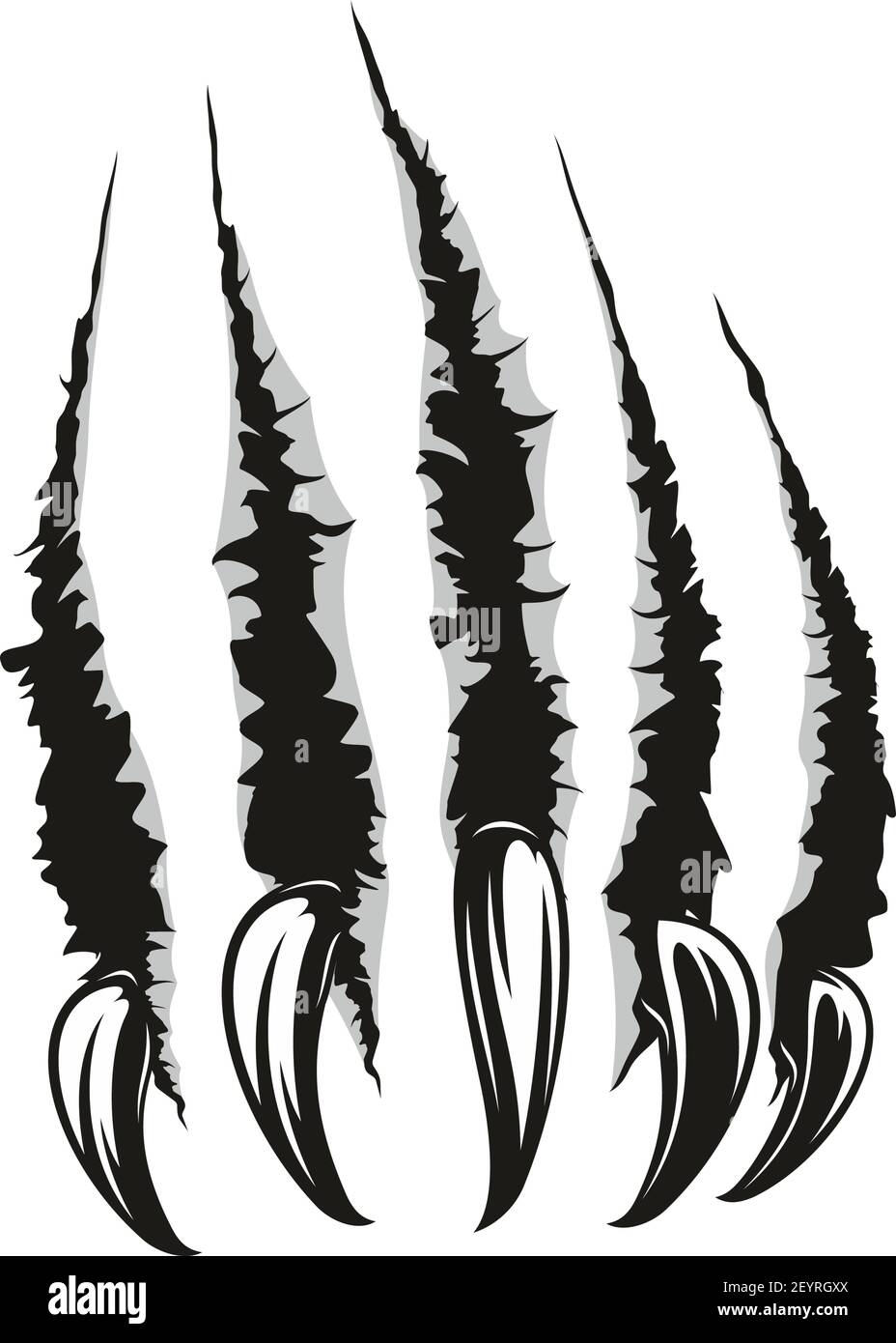 Claws scratches, torn paper trails. Vector wild animal sharp claw slash marks Stock Vector