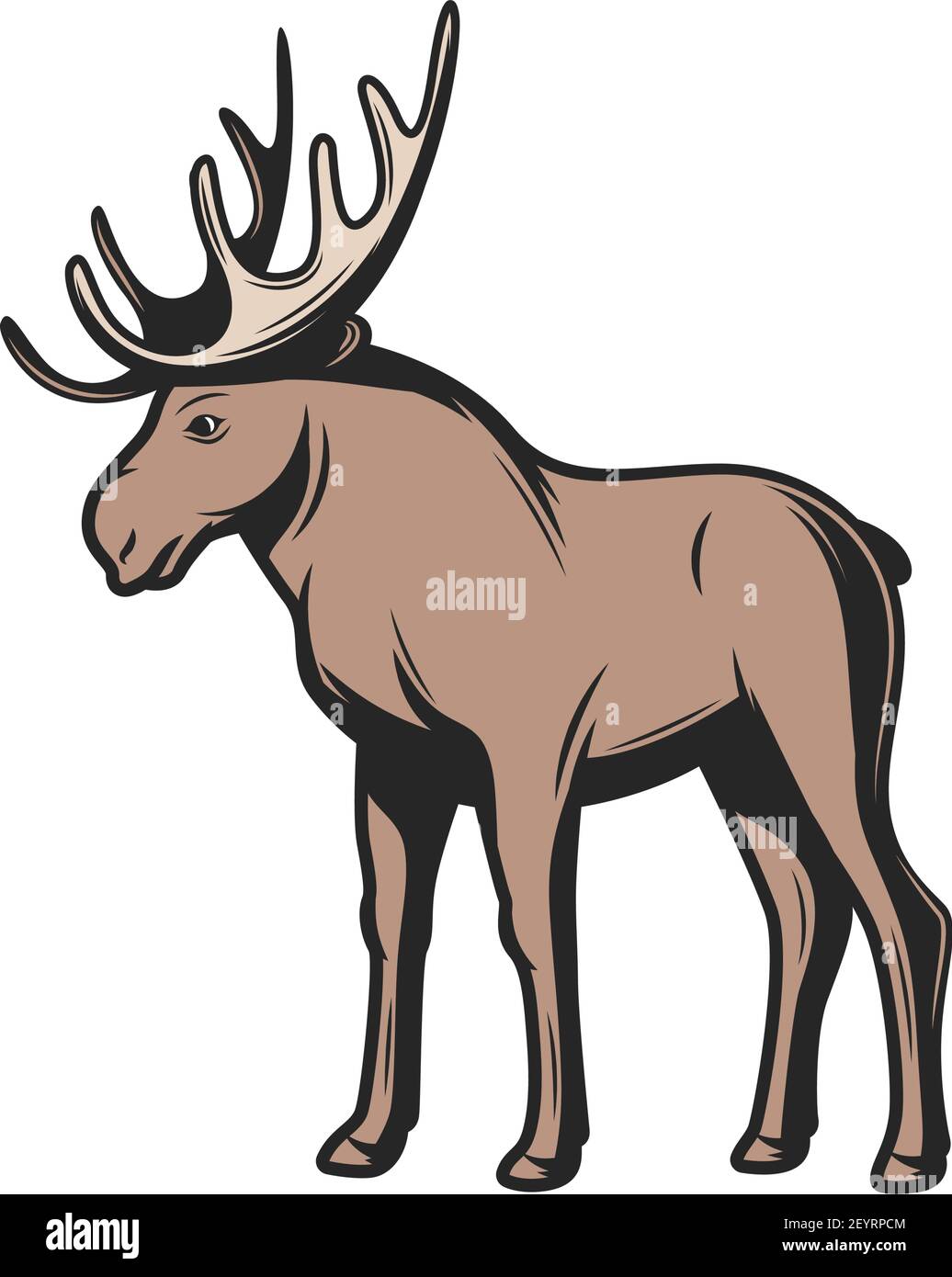 Elk wild animal icon. Vector moose wapiti, elk antler hunt and zoo mammal Stock Vector