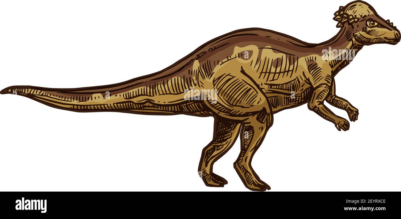 T-rex dinosaur isolated prehistoric animal sketch. Vector