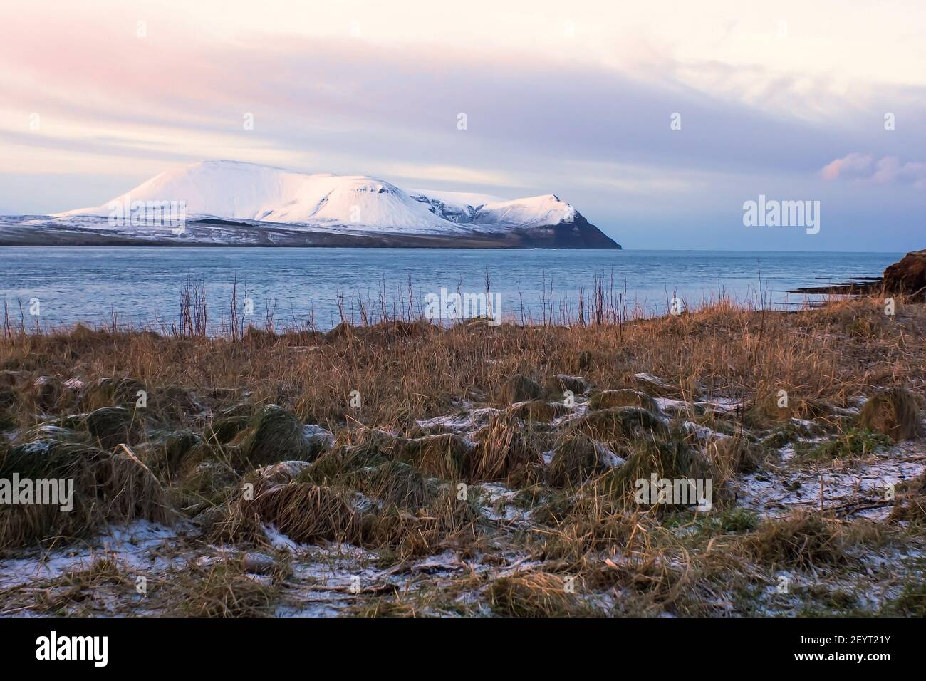Winter morning on scottish islands shoreline in Stromness with dry grass and distant hills covered with snow Stock Photo