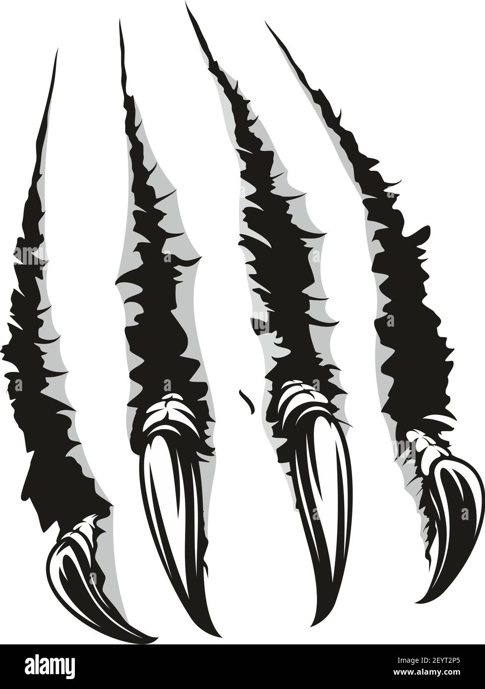 Claws scratches of wild animal. Vector tiger, bear or monster cat claw torn slashes Stock Vector