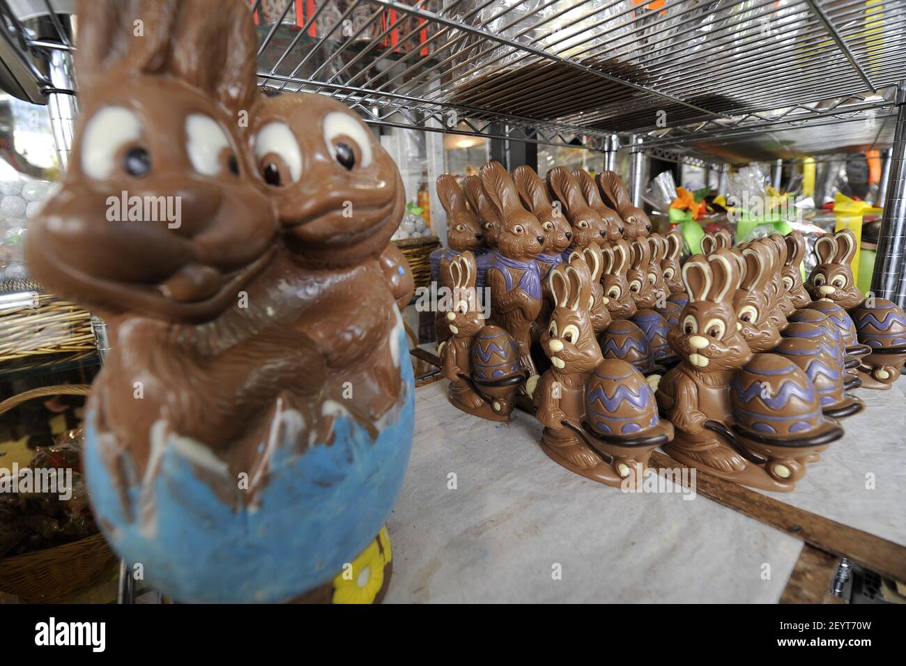 06 April 2012 - New York - Chocolate rabbits cool on shelves before being wrapped and put out on display at Jacques Torres Chocolates' Hudson Street retail store in anticipation of Easter Holiday weekend, April 6, 2012, New York, NY. Photo Credit: Anthony Behar/Sipa Press Stock Photo