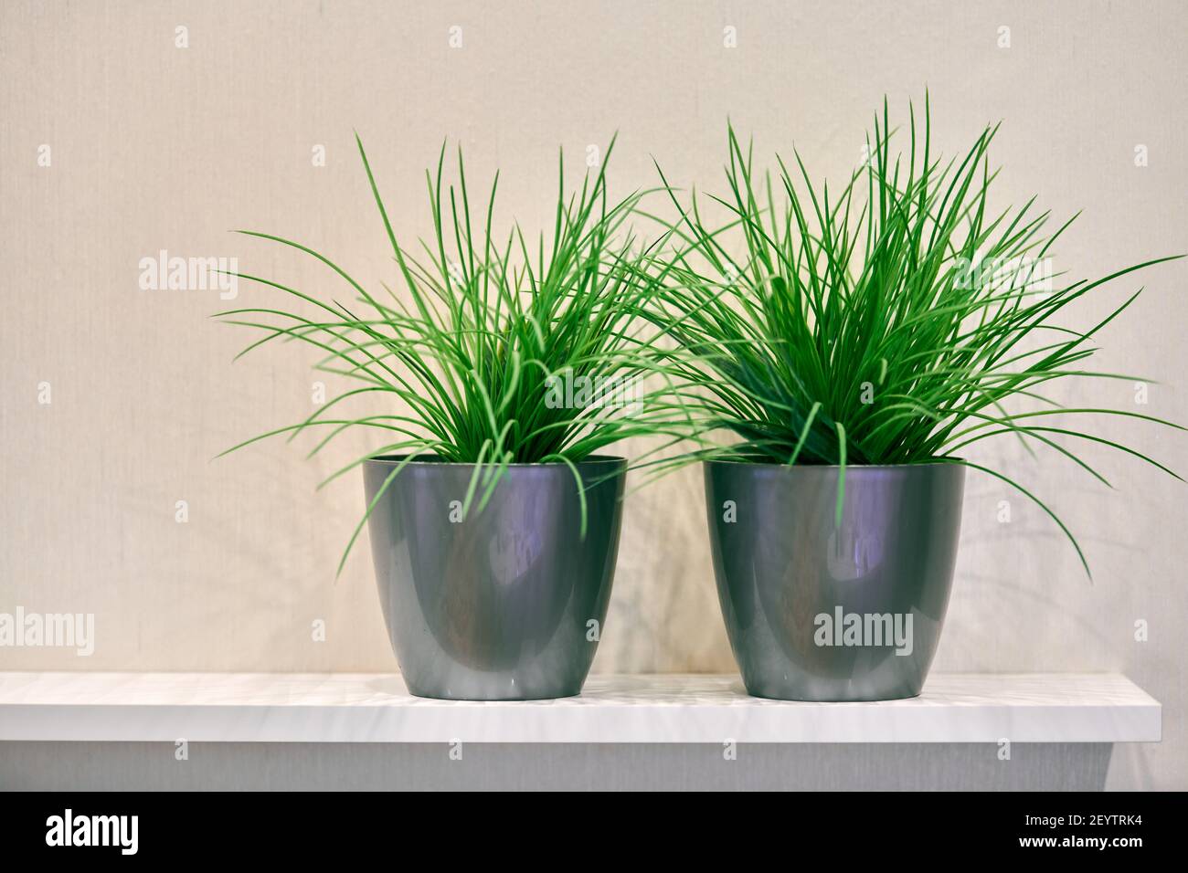 Two artificial green plants pot on shelf. Plastic decorative flora in