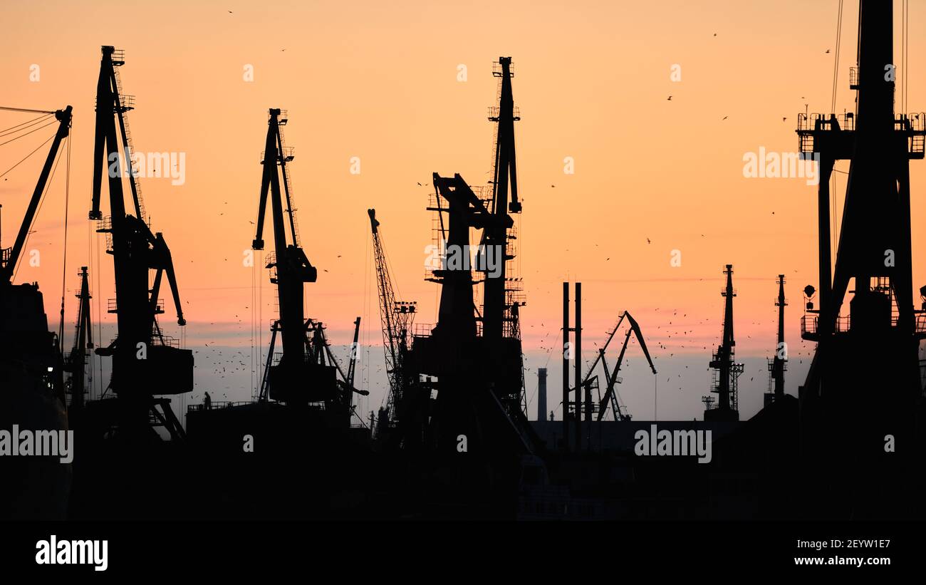 Silhouettes of ships and container cranes in sea port, sunset ...