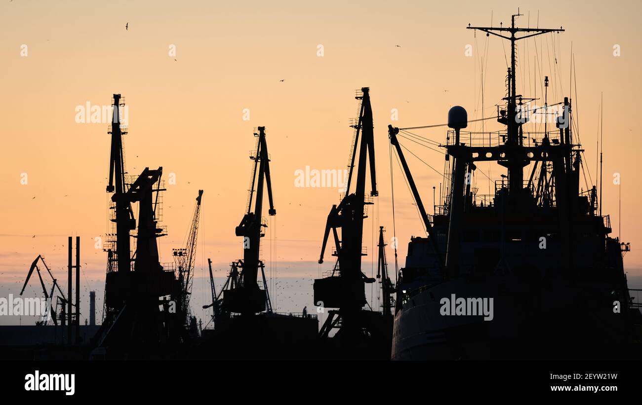 Silhouettes of ships and container cranes in sea port, sunset ...